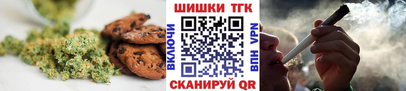 магазин  наркотиков  Козловка  МЕГА ссылка  Cannafood конопля 