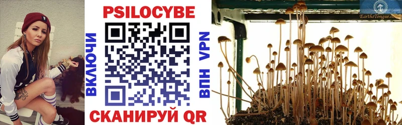 Галлюциногенные грибы прущие грибы  Козловка 
